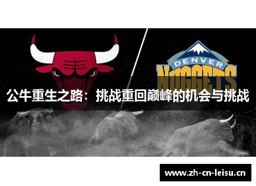 公牛重生之路：挑战重回巅峰的机会与挑战