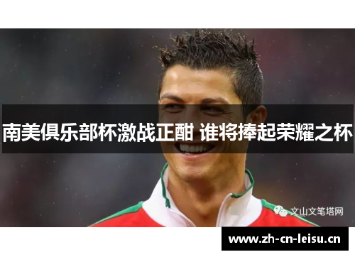 南美俱乐部杯激战正酣 谁将捧起荣耀之杯