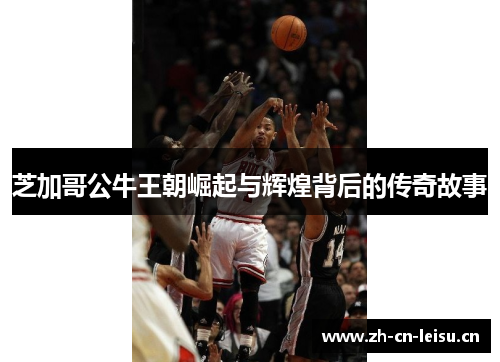 芝加哥公牛王朝崛起与辉煌背后的传奇故事